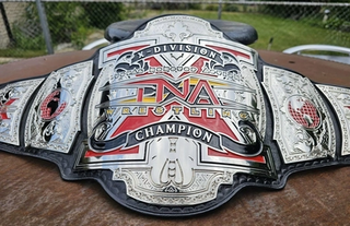 <span class="mw-page-title-main">TNA X Division Championship</span> Mens professional wrestling championship