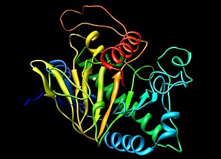 <span class="mw-page-title-main">Isopenicillin N synthase</span>