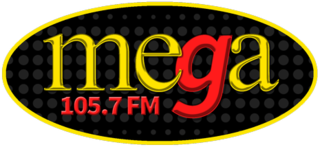 <span class="mw-page-title-main">WEMG</span> Radio station in New Jersey, United States