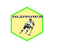 This is an example of a historical team logo that could be used in this section or in a separate Logos section.