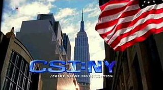 <i>CSI: NY</i> American police procedural drama television series (2004–2013)