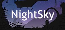 Nightsky cover art.jpg