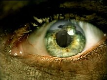 A screenshot from the music video Eyesoftheinsane.JPG