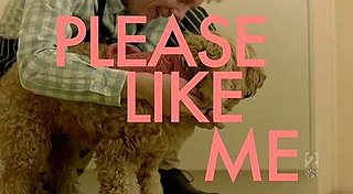 <i>Please Like Me</i> Australian comedy television series