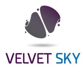 <span class="mw-page-title-main">Velvet Sky (airline)</span> South African airline