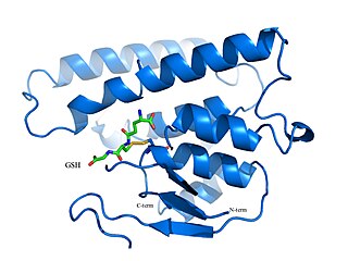 <span class="mw-page-title-main">Bacterial glutathione transferase</span>