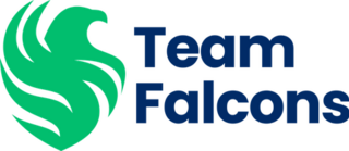 <span class="mw-page-title-main">Team Falcons</span> Saudi esports organization