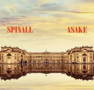 <span class="mw-page-title-main">Palazzo (song)</span> 2022 single by Spinall and Asake