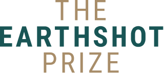 <span class="mw-page-title-main">Earthshot Prize</span> Environmental initiative award