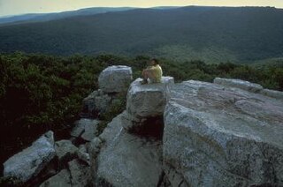 <span class="mw-page-title-main">Catoctin Mountain</span> Mountain ridge in the United States