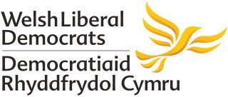 <span class="mw-page-title-main">Welsh Liberal Democrats</span> Welsh branch of the Liberal Democrats