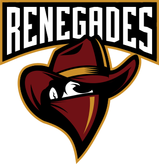 <span class="mw-page-title-main">Renegades (esports)</span> American esports organization