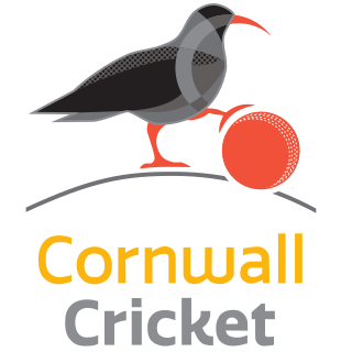 <span class="mw-page-title-main">Cornwall County Cricket Club</span> UK cricket team