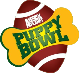 <i>Puppy Bowl</i> Super bowl counterprogramming hosted by Animal Planet