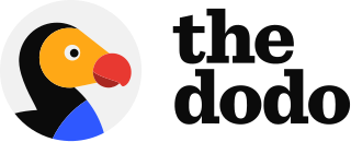 <i>The Dodo</i> (website) American media group and website