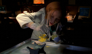 <span class="mw-page-title-main">Je Souhaite</span> 21st episode of the 7th season of The X-Files