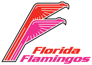 <span class="mw-page-title-main">Florida Flamingos</span>