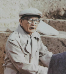 Professor Zou Heng in a suit and cap at a field dig site