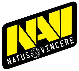 <span class="mw-page-title-main">Natus Vincere</span> Ukraine-based esports organisation