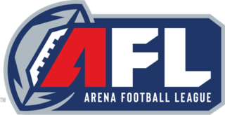 <span class="mw-page-title-main">Arena Football League</span> Professional American arena football league