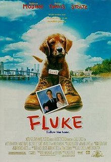 <i>Fluke</i> (film) 1995 American film