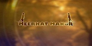 <i>Meerkat Manor</i> British television series about a meerkat family