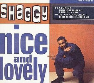 <span class="mw-page-title-main">Nice and Lovely</span> Song by Shaggy, controversial departure from debut