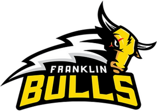 <span class="mw-page-title-main">Franklin Bulls</span> Basketball team in Pukekohe, New Zealand