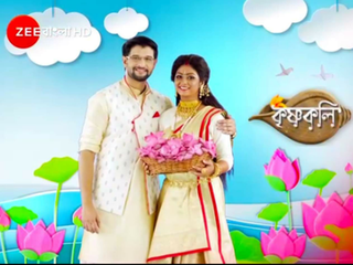 <i>Krishnakoli</i> Bengali television soap opera