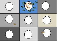 experimental design for testing color vision in honey bees.