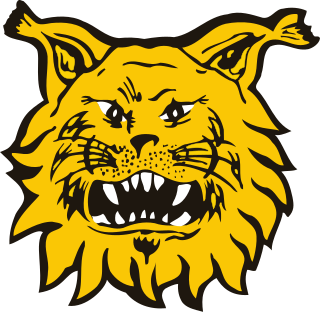 <span class="mw-page-title-main">Ilves (football)</span> Finnish football club