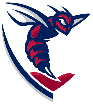 <span class="mw-page-title-main">Shenandoah Hornets</span> College athletics teams at Shenandoah University, Virginia, United States