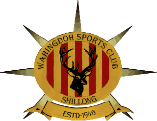 <span class="mw-page-title-main">Royal Wahingdoh FC</span> Association football club in India