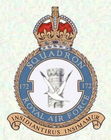 172 Squadron Logo.jpg