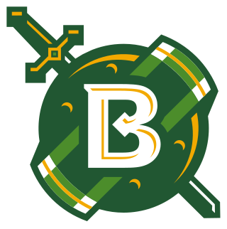 <span class="mw-page-title-main">Belhaven Blazers</span> Athletic teams representing Belhaven University