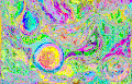 Bubbles was created using watercolors, then scanned into a computer. Colors were then manipulated using a software imaging tool.