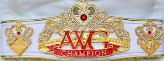 <span class="mw-page-title-main">AWG Single Championship</span> Japanese womens professional wrestling championship