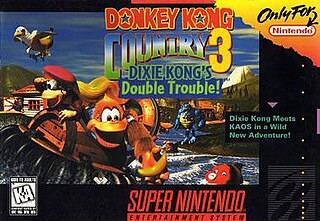 <i>Donkey Kong Country 3: Dixie Kongs Double Trouble!</i> 1996 video game