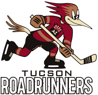 <span class="mw-page-title-main">Tucson Roadrunners</span> American Hockey League team in Tucson, Arizona