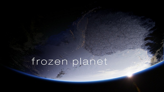 <i>Frozen Planet</i> Nature documentary series focusing on life and the environment in both the Arctic and Antarctic