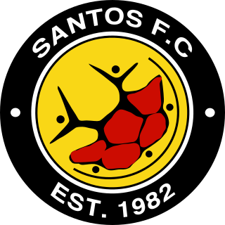 <span class="mw-page-title-main">Santos F.C. (South Africa)</span> Football club