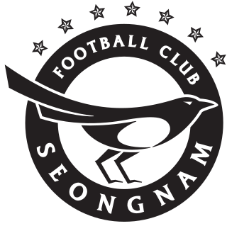 <span class="mw-page-title-main">Seongnam FC</span> South Korean professional association football club