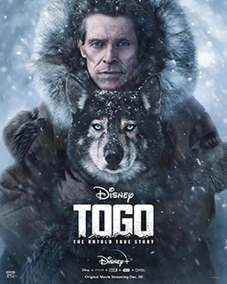 <i>Togo</i> (film) 2019 American drama adventure film