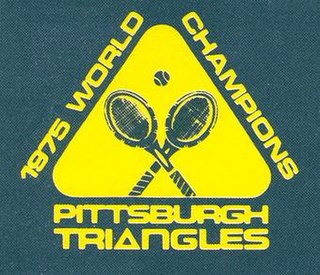 <span class="mw-page-title-main">Pittsburgh Triangles</span>