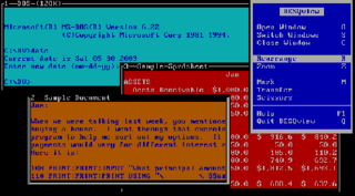 <span class="mw-page-title-main">DESQview</span> Text mode multitasking operating environment