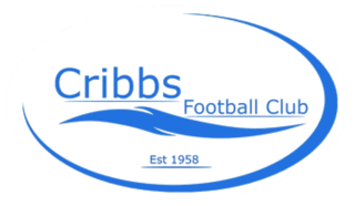 <span class="mw-page-title-main">Cribbs F.C.</span> Association football club in England