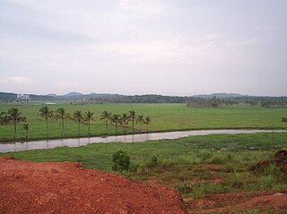 <span class="mw-page-title-main">Kizhakkambalam</span> Suburb in Ernakulam, Kerala, India