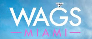 <i>WAGS Miami</i> American TV series or program