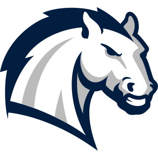 <span class="mw-page-title-main">Hillsdale Chargers</span> Sports programs at Hillsdale College in Michigan