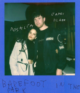 Barefoot in the Park (song) 2019 single